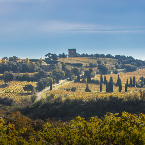 Rhône