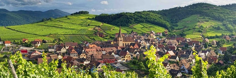 Elsass